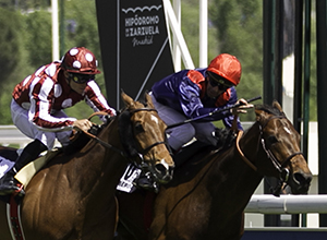 HZ: una apuesta por las carreras y el ocio en la temporada 2018