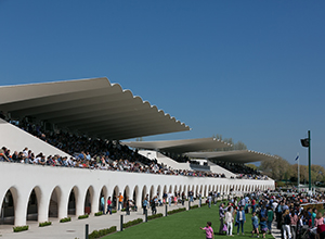  Hipódromo de La Zarzuela se une al proyecto cultural “Madrid otra mirada” 