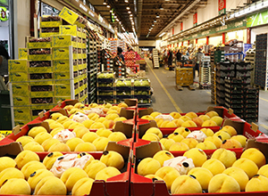 Mercado mayorista de frutas (MERCASA)