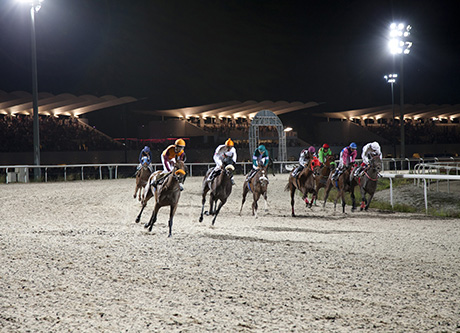 Carrera nocturna de caballos en el Hipódromo de La Zarzuela.