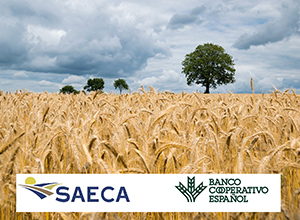 Campo de cereales con los logotipo de SAECA y del Banco Cooperativo Español.