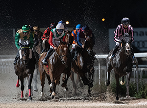 Carrera nocturna de caballos en el Hipódromo de La Zarzuela.