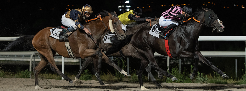 The Night horse races of the summer Season begin at Hipódromo de La Zarzuela