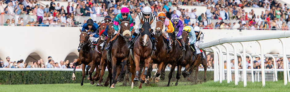 Horse racing Season 2023 starts at Hipódromo de La Zarzuela