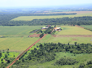 Vista general de la finca de CYTASA en Paraguay.