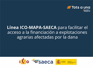 Anuncio Línea ICO-MAPA-SAECA 