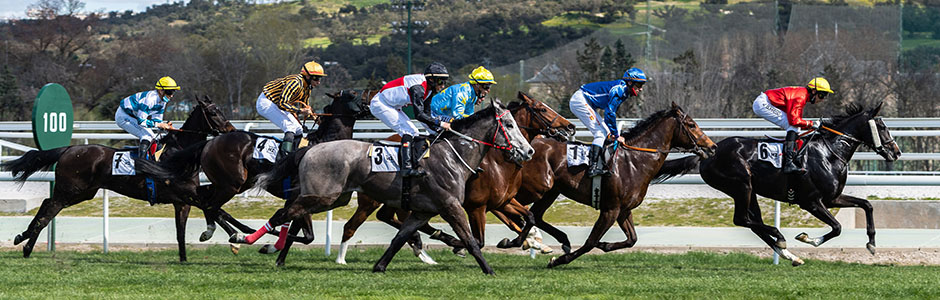 El Hipódromo de La Zarzuela inaugura la temporada de carreras 2025