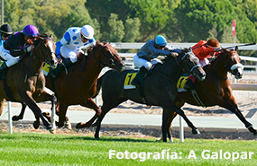 23 de octubre: Día de los Campeones e inauguración del Museo Eduardo Torroja