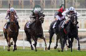 Once candidatas en la gran cita de la temporada para las potras, el Gran Premio Beamonte - Oaks en el HIPÓDROMO DE LA ZARZUELA