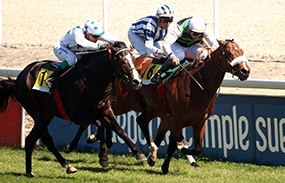 HIPÓDROMO DE LA ZARZUELA renovates its betting system and lowers the withholdings