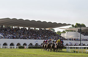 La temporada 2017 en el Hipódromo de La Zarzuela repartirá casi 3.500.000 € en premios