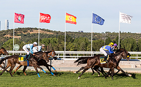 Empieza la nueva temporada de otoño en el HIPÓDROMO DE LA ZARZUELA, con 1.280.900 euros en premios