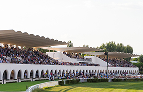 Growth in the turnover for betting and for the sale of tickets at the Hipódromo de La Zarzuela in 2016