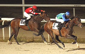 Broche final a la exitosa temporada de verano 2016 en el HIPÓDROMO DE LA ZARZUELA