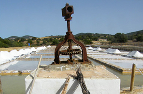 TRAGSA ends the restoration of four inland salt works in Andalusia